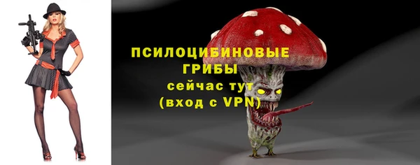 МДМА Гусиноозёрск