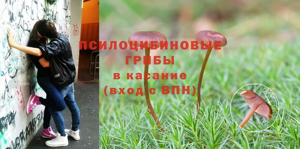 мескалин Гусев