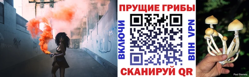 Галлюциногенные грибы прущие грибы  цены наркотик  Невьянск 