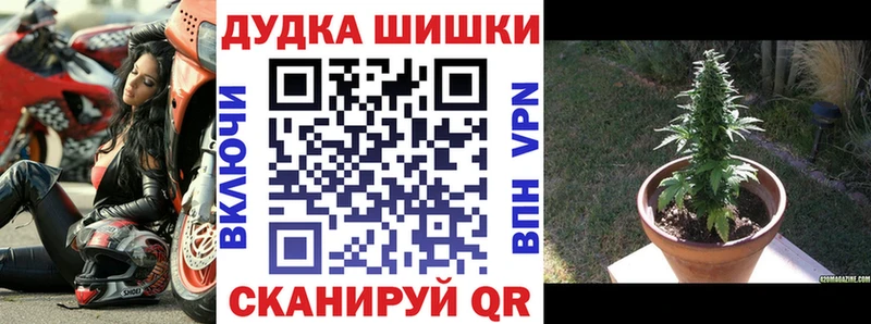 Шишки марихуана OG Kush  Невьянск 